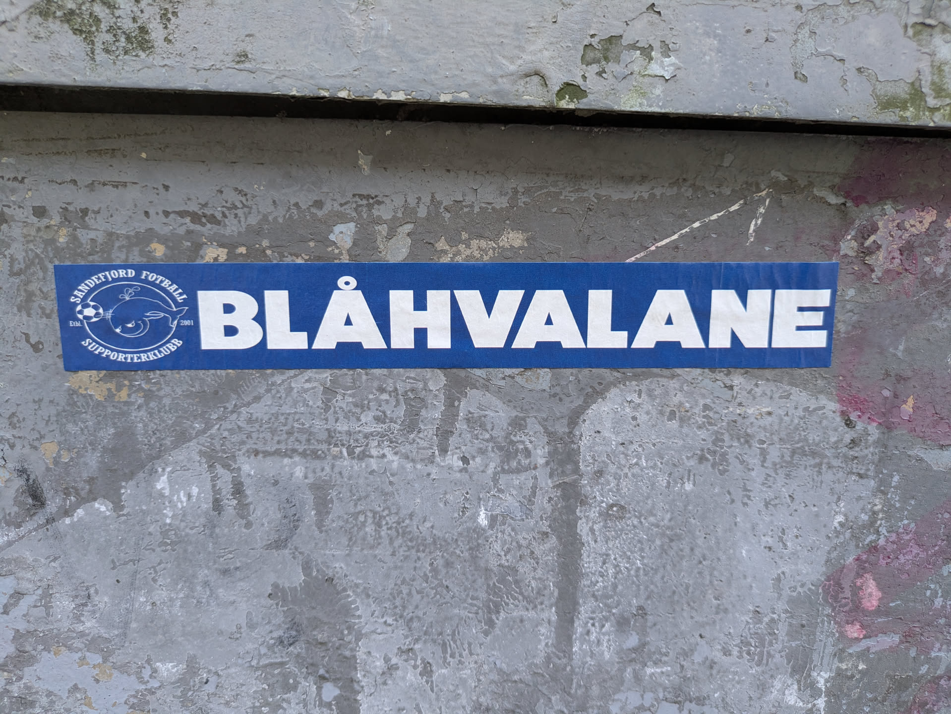 A rectangular blue sticker is prominently displayed on a weathered, peeling grey wall. The sticker features white text and a logo. On the left, a circular emblem shows a cartoon blue whale balancing a white football on its snout. Around this logo, text reads "SANDEFJORD FOTBALL" at the top, "SUPPORTERKLUBB" at the bottom, and "ETBL. 2001" (Established 2001) to the side. The main body of the sticker, to the right of the logo, has large, bold white letters spelling "BLÅHVALANE". The wall itself shows signs of age with chipped paint and faint underlying graffiti.