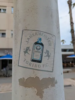 Street sticker A sticker featuring the Jagermeister logo with two bulls around the bottle and Torino F.C. bellow it is affixed to a light pole. The sticker is printed in a light blue and white color scheme.