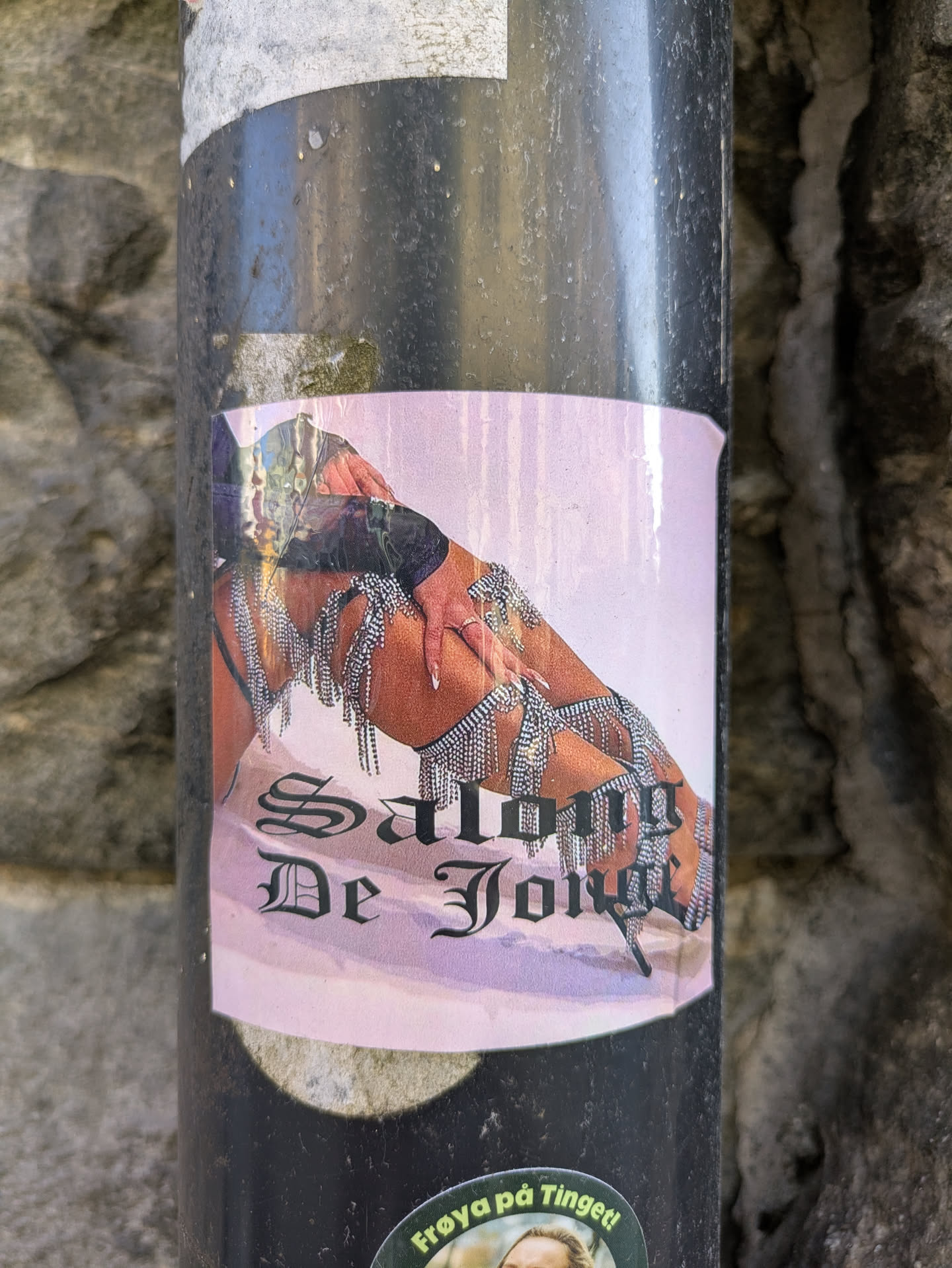 The sticker features a close-up image of a person's legs and one arm/hand. The limbs are covered in intricate, dangling silver-colored chain body jewelry, which shimmers as if made of rhinestones or small beads. The skin tone appears warm, and the hand has long, manicured nails. The background transitions from a lighter pink/purple at the top to a darker purple at the bottom. Below the image, the text 'Salong De Joyeux' is written in a black, ornate Old English or Gothic font.