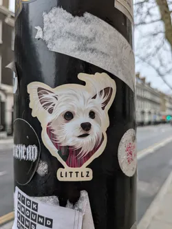 Street sticker A die-cut sticker featuring a detailed illustration of a small, fluffy white dog's head. The dog has large, dark, expressive eyes, a small dark nose, and a gentle expression. Its fur is rendered with fine strokes in shades of white and cream, with brown accents inside its perked ears. A striped scarf in hues of red, pink, and dark green is wrapped around its neck. Below the dog's image, a separate, rounded rectangular label with a cream background displays the name 'LITTLZ' in black capital letters. The sticker has a clean, light cream border.