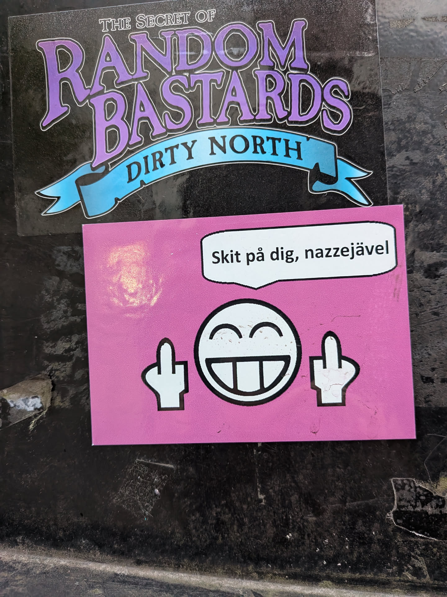 Street sticker The sticker is rectangular with a bright pink background. In the center, there is a large, stylized smiley face with wide eyes and a broad, toothy grin. On either side of the smiley face, there are white hands with index fingers extended upwards, each giving the middle finger gesture. Above the smiley face, there is a white speech bubble containing text. The overall style is bold and graphic.