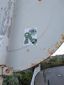 Rectangular sticker showing a green and black striped scarf alongside a circular logo reading 'FOHLEN AUS POLEN' around a green cartoon head.