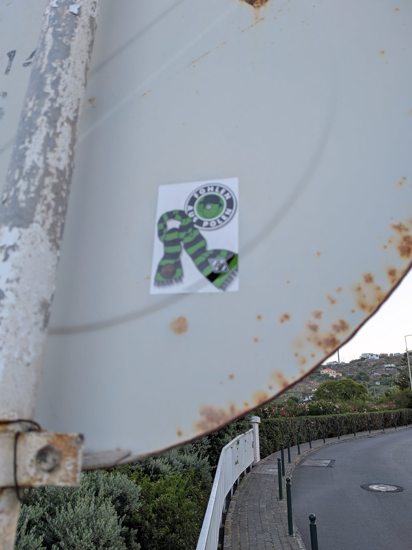 Rectangular sticker showing a green and black striped scarf alongside a circular logo reading 'FOHLEN AUS POLEN' around a green cartoon head.