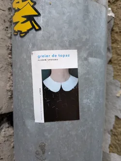 Street sticker A rectangular sticker showing a book cover design. It features a photo of a white Peter Pan collar on a black garment, with Romanian text on a white border.