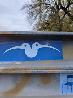 Street sticker The sticker is rectangular with a vibrant blue background. Centered on the sticker are two stylized white kiwi birds. They are positioned back-to-back, with their bodies forming a V-shape. Each bird has a circular eye and a long, curved beak that extends outwards. The overall design is simple and iconic, with clean lines.