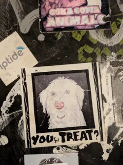 A sticker featuring a drawing of a fluffy white dog with a pink nose, inside a black and white striped frame. The text "YOU Got TREAT?" is printed below the dog's portrait.