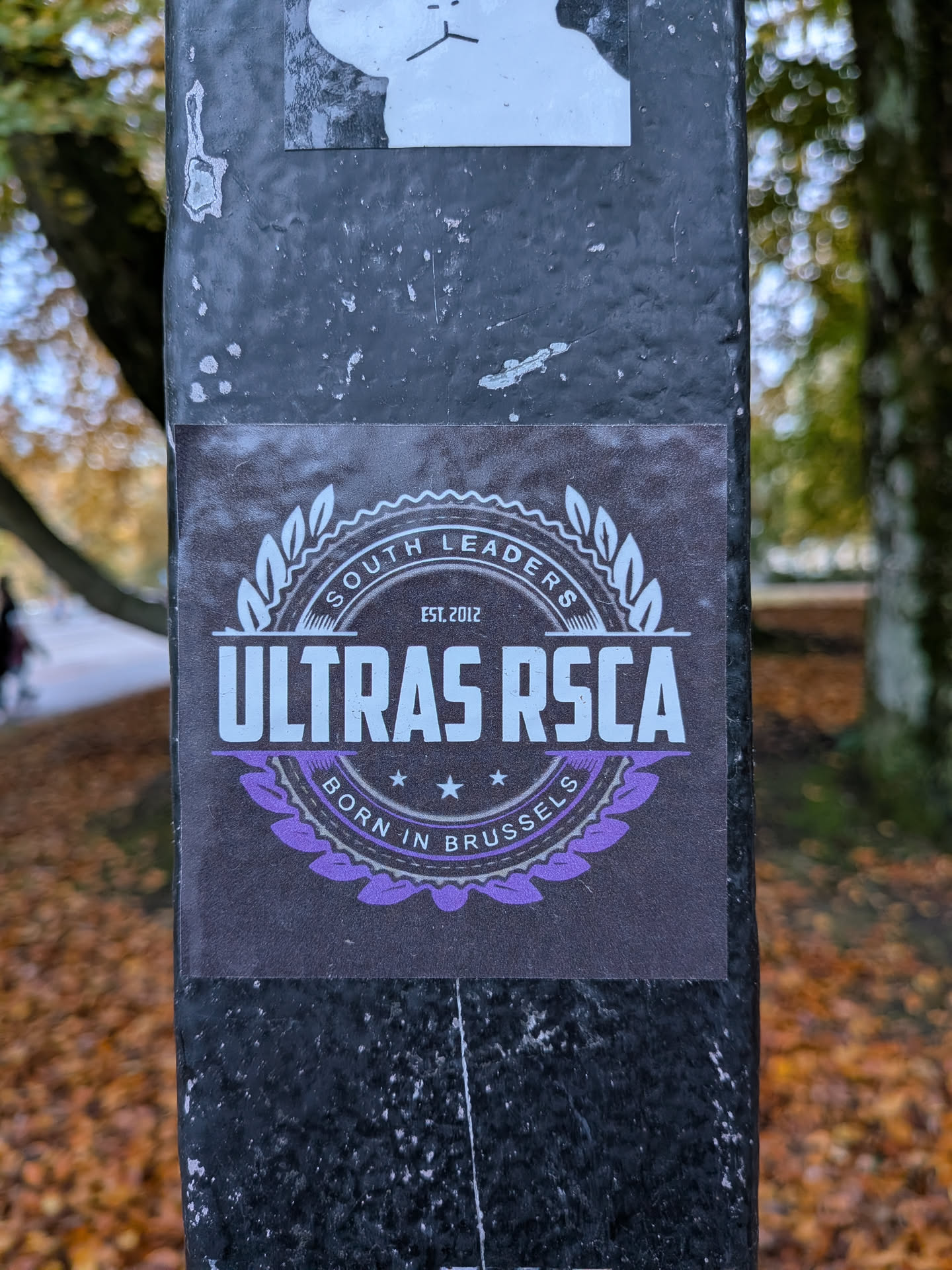 Street sticker The sticker is predominantly dark gray with a circular design. At the top, it reads 'SOUTH LEADERS' in a white, stylized font, enclosed within a laurel wreath. Below this, 'EST. 2012' is written in smaller text. The central and largest text reads 'ULTRAS RSCA' in bold, white capital letters. The bottom portion of the circle features 'BORN IN BRUSSELS' in a curved, white font, with purple floral embellishments and small white stars flanking the text. The overall design has a vintage, badge-like appearance.