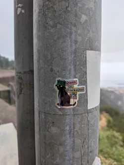 Street sticker A die-cut holographic sticker featuring a black cat wearing a green frog-themed bucket hat. To its right, wooden-style signs display the text 'Queen of Quicksilver' above a blue hexagonal logo containing a pink 'Q'.