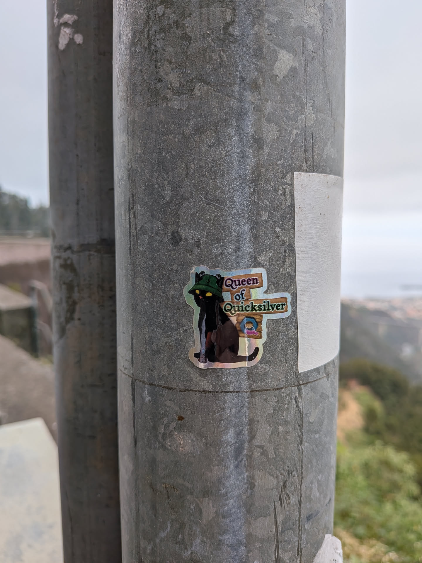 A die-cut holographic sticker featuring a black cat wearing a green frog-themed bucket hat. To its right, wooden-style signs display the text 'Queen of Quicksilver' above a blue hexagonal logo containing a pink 'Q'.