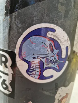 Street sticker A sticker featuring a detailed illustration of a skull's head and neck, seemingly smoking a cigarette. The skull is rendered in shades of blue and grey, with the background a darker blue. The style is somewhat reminiscent of anatomical illustrations.  The artist's Instagram handle is visible in the sticker: @zsmokedlattia.