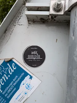 Street sticker A circular black sticker with a white border. It features the white text 'BAR & GRILL', 'Wild BIRDIE' with a small music note icon, 'BORN THAT WAY', and 'Since 2020'.