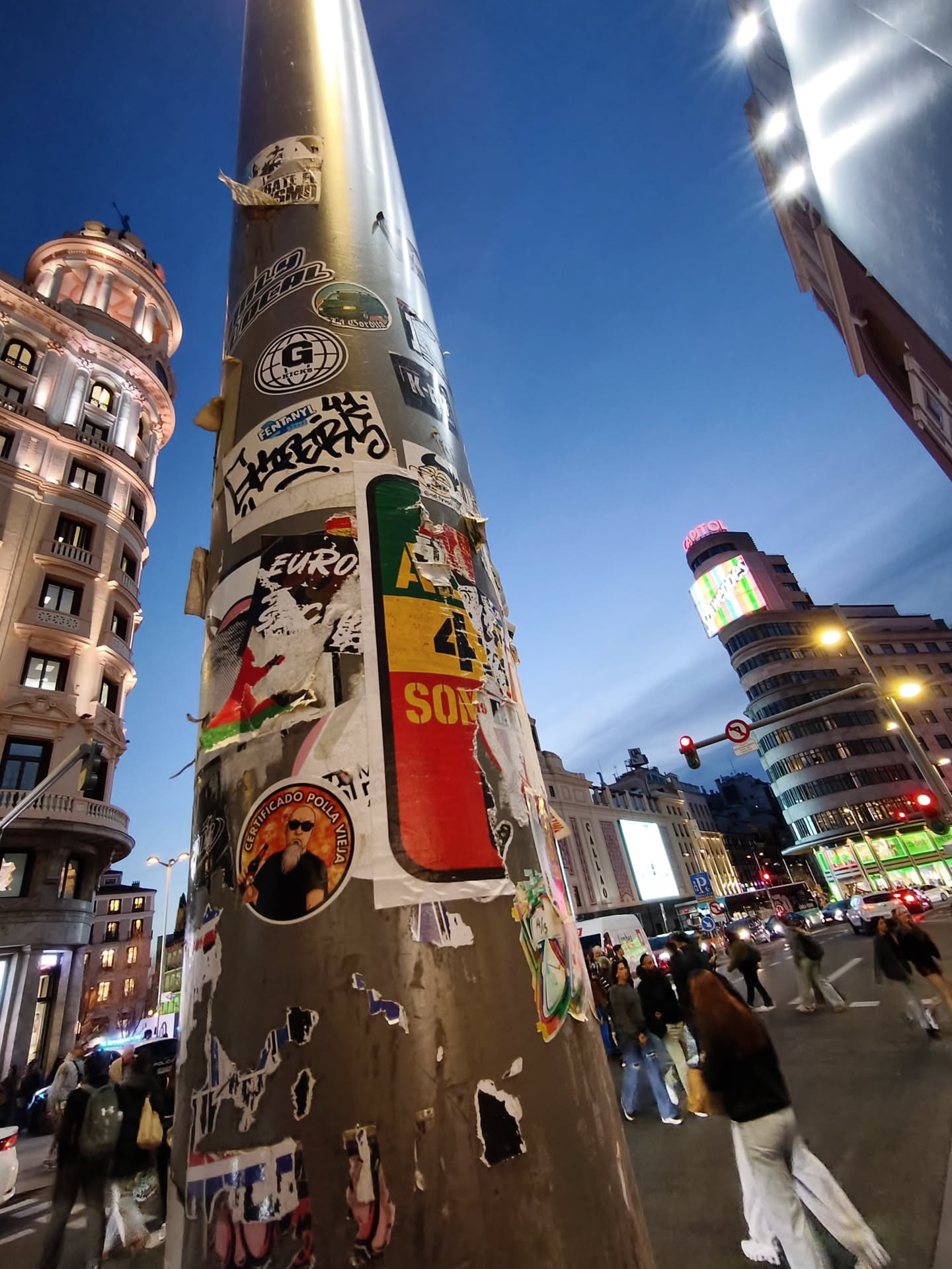 The sticker is circular, featuring a portrait of a bald man with a prominent dark beard and dark sunglasses. He is wearing a black shirt or jacket. The background behind the man is a light orange or tan color. Around the top edge of the circle, in white capital letters on a black background, is the Spanish text 'CERTIFICADO POLLA VIEJA'. The overall impression is one of a humorous, slightly rebellious, or provocative character.