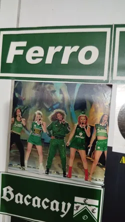 Street sticker The central sticker features a vibrant photograph of the five members of the Spice Girls performing on stage. All five women are holding microphones and are dressed predominantly in green outfits, some with white or black accents. From left to right, the first woman wears a green tank top and black pants, the second a green mini-dress, the third a green tracksuit, the fourth a green mini-dress, and the fifth a green crop top and shorts. The stage background is a blurry mix of blues, yellows, and oranges, suggesting dynamic lighting. The image captures a moment of energetic performance.