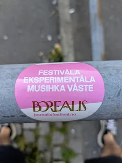 Street sticker An oval-shaped sticker, predominantly pink with a white bottom section, affixed to a grey metal pole. The top portion of the sticker features white text "FESTIVÁLA EKSPERIMENTÁLA MUSIHKA VÁSTE" (likely Northern Sámi for "Festival for experimental music"). Below that, the festival name "BOREALIS" is prominently displayed in a distinct gold-brown serif font. At the very bottom, the website "borealis festival.no" is displayed. The background is blurred, showing a paved ground and the feet of the person taking the photo.