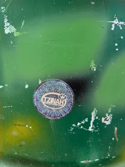 Street sticker A round sticker featuring the beige 'Tzinah Records' logo and crown icon inside an oval. The background consists of a blue and black sacred geometry 'Flower of Life' pattern. It is affixed to a green, textured surface.