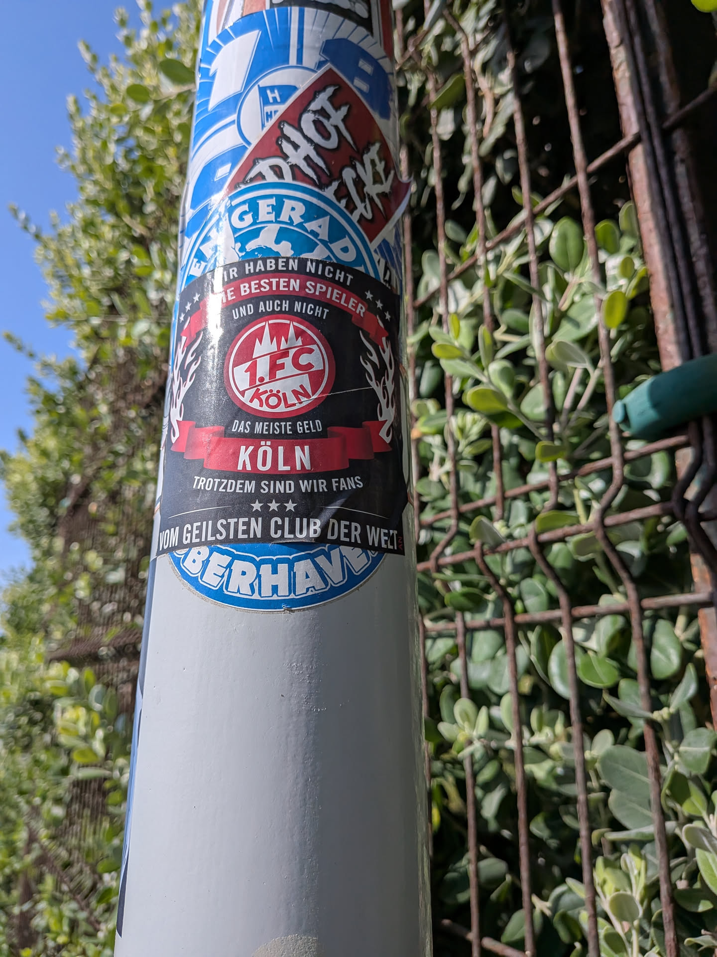 A black rectangular sticker featuring the red and white 1. FC Köln logo. It displays German text declaring fan loyalty despite lacking top players or money, accented with red banners and white stars.