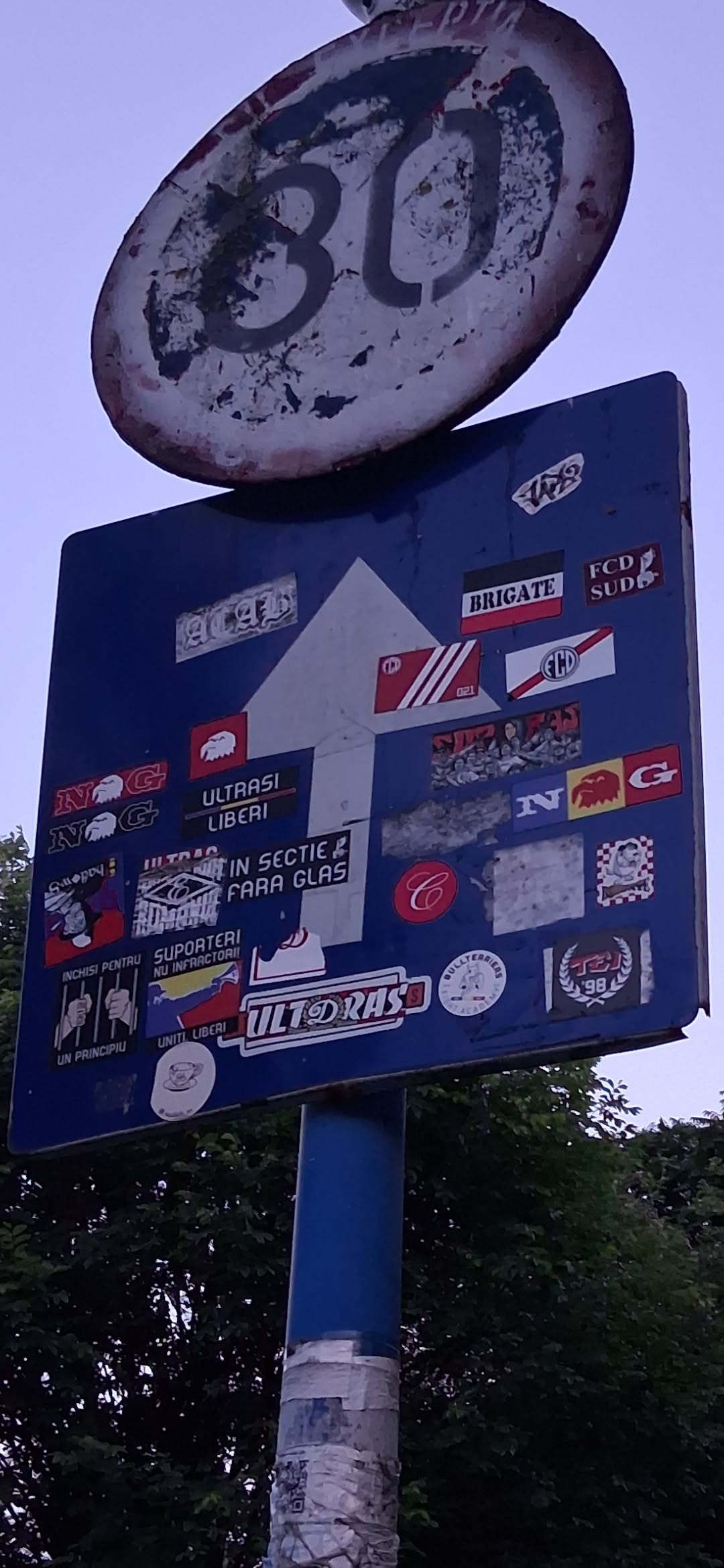 A black and white rectangular sticker featuring a crossed-out megaphone graphic on the left and the Romanian text 'IN SECTIE FARA GLAS' on the right.