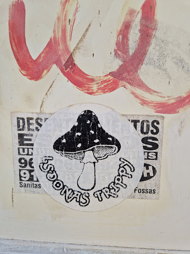 Street sticker Misc DES E UN 96 LOONAS Radris TOS S IS H 91 Sanitas Fossas