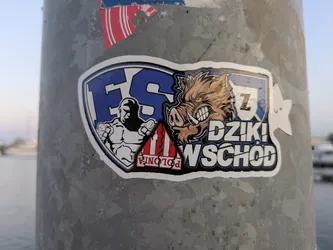 Street sticker A sticker on a metal pole features a design split into two sections. The left side contains a stylized image of a muscular figure with the letters "FS" above. The right side features an illustration of a wild boar above the words "DZIKI! WSCHOD". The word "POLONIA" is present at the bottom of the sticker.
