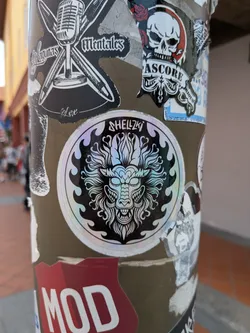 Street sticker A circular sticker with a holographic, iridescent finish. It depicts a stylized, detailed dragon or guardian lion head in white outline against a black background, framed by flame motifs. The text 'SHELLZKI' is written at the top.