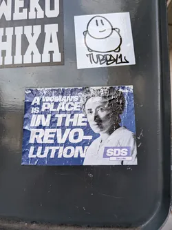 A blue rectangular sticker with a portrait of Rosa Luxemburg, the text 'A WOMAN'S PLACE IS IN THE REVOLUTION', and logos for SDS and Die Linke.