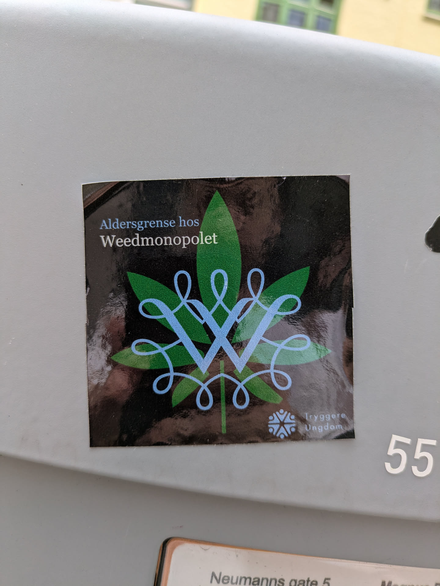 A rectangular black sticker displays a prominent green cannabis leaf at its core. Superimposed on the leaf is an intricate, light blue, stylized letter 'W' or interlocking 'V's, forming an ornate design. At the top of the sticker, white text reads 'Aldersgrense hos Weedmonopolet', which translates to 'Age limit at the Weed Monopoly'. In the bottom right corner, smaller white text states 'Tryggere Ungdom' ('Safer Youth'), accompanied by a small, light blue logo resembling a snowflake or starburst. The sticker appears to be a commentary on potential government control or legalization of cannabis, advocating for youth safety.