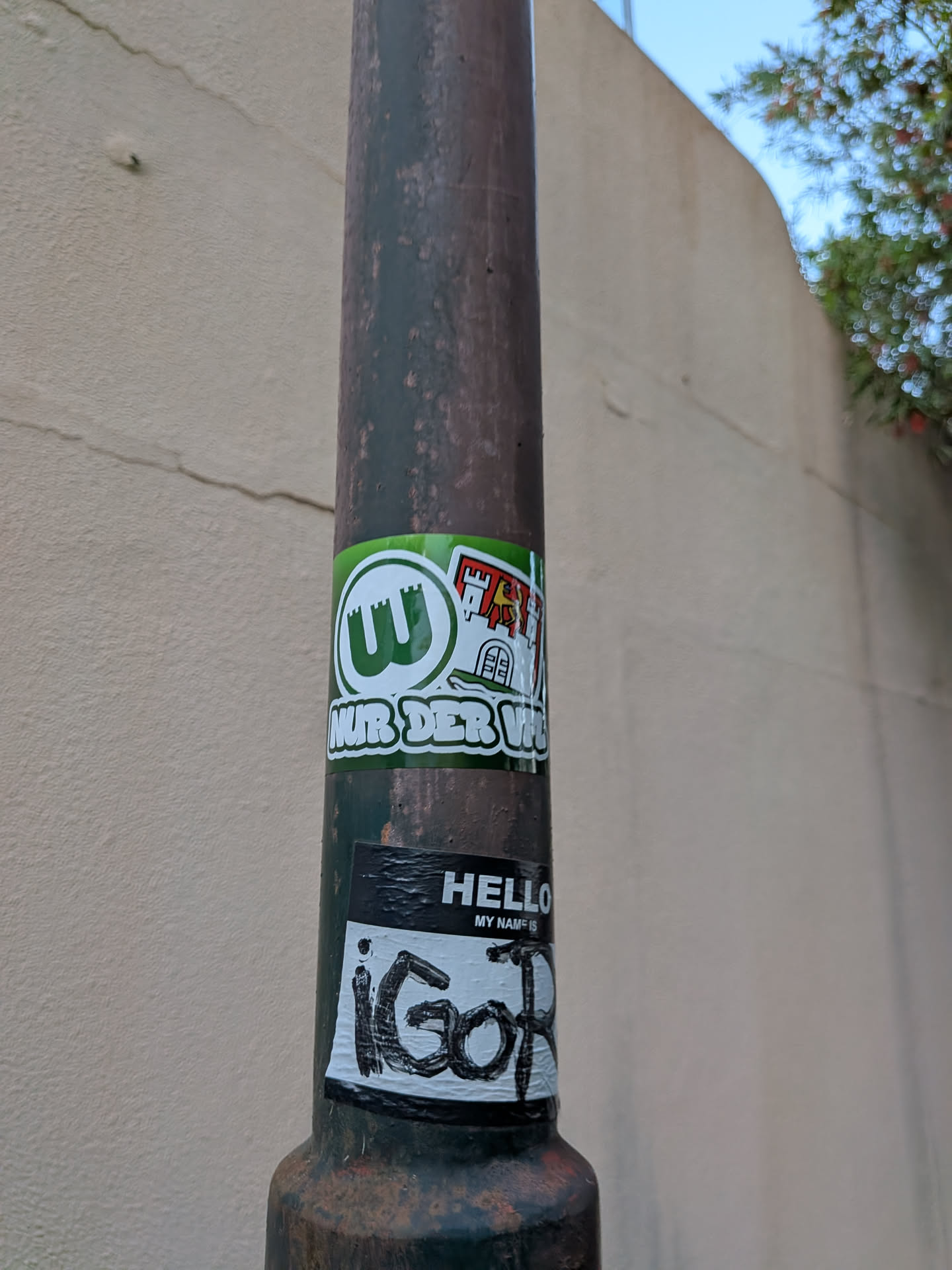 Green sticker featuring the VfL Wolfsburg 'W' logo, the city's castle coat of arms, and the text 'NUR DER VfL' in bold white font.