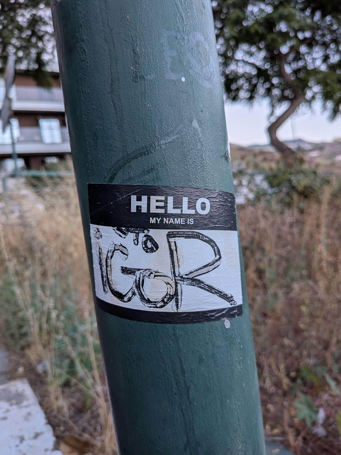 A black and white "HELLO MY NAME IS" sticker on a green pole, featuring the name "IGOR" handwritten in black marker graffiti style.