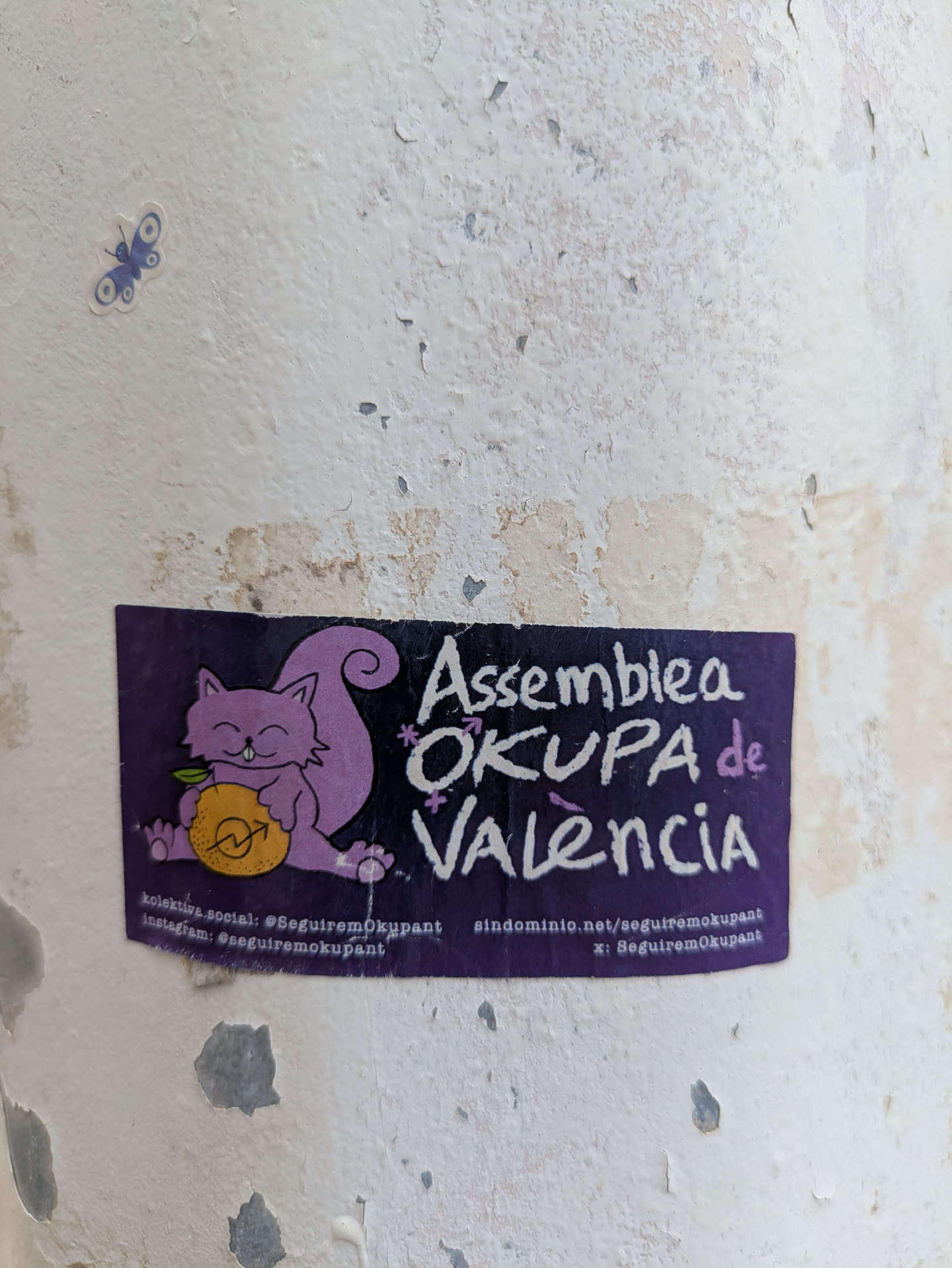 This sticker promotes Assemblea Okupa de Valencia. It features a purple squirrel-like cartoon character hugging a yellow citrus fruit, potentially an orange. The text details how to find the collective on different social media platforms. The surface is peeling and shows signs of age.