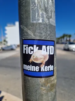 Street sticker A sticker featuring a picture of a frog with the text "Fick AfD meine Kerle". The sticker is affixed to a metal pole.