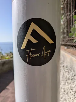 Street sticker A circular black sticker affixed to a white post. It features a gold geometric logo resembling a stylized 'F' above the handwritten-style text 'Flavor Amp' in gold.