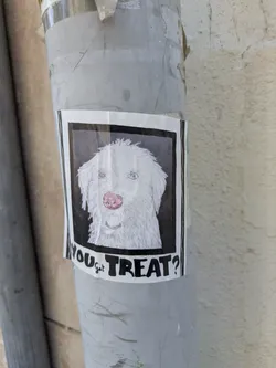 Street sticker A sticker affixed to a gray pole features a white dog with a pink nose framed in a black border. Below the image, the text "YOU got TREAT?" is printed.