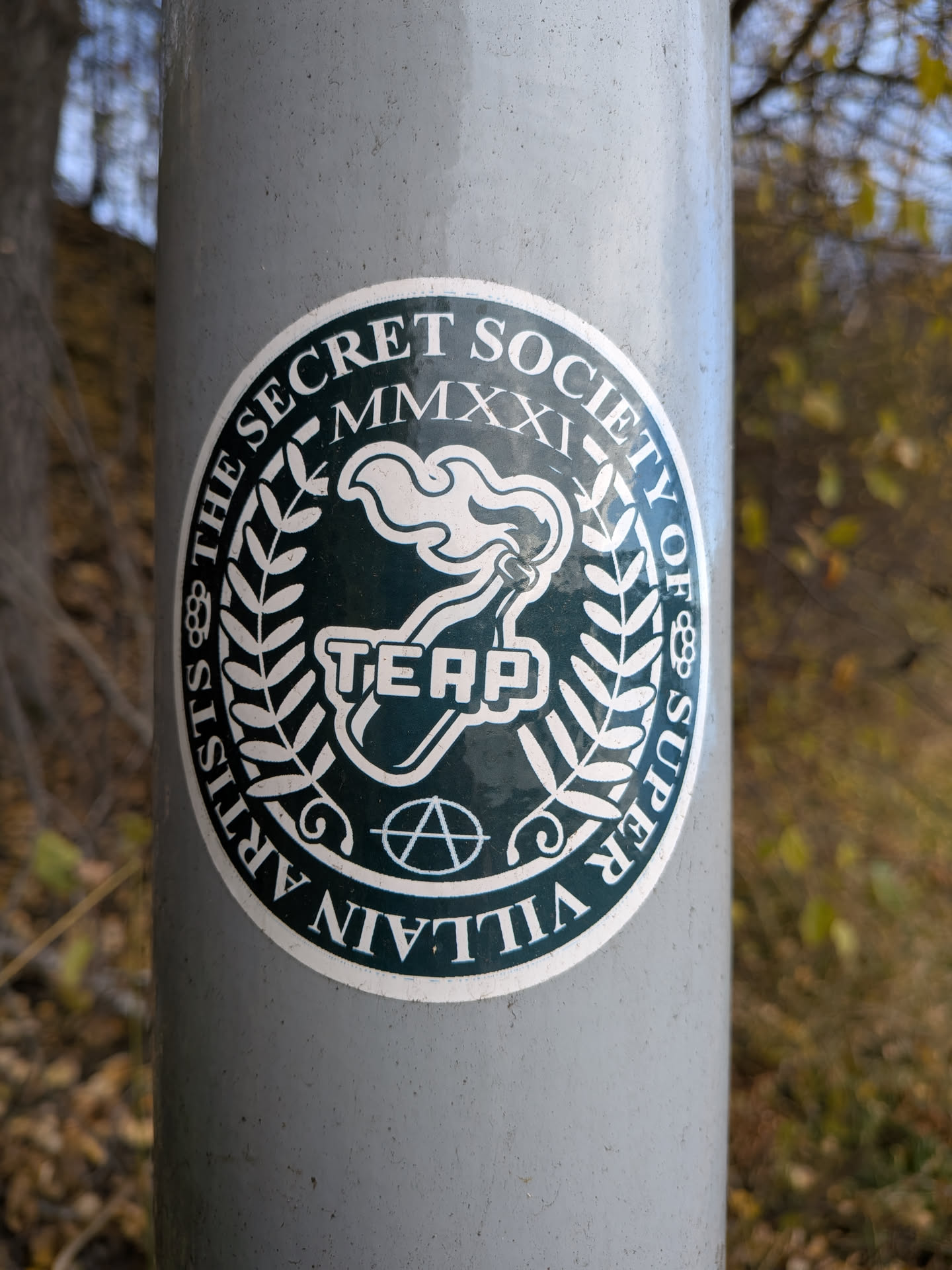 The sticker is circular with a dark green background and white lettering and graphics. The outer ring of the sticker contains the text 'THE SECRET SOCIETY OF SUPER VILLAIN ARTISTS' in white, capital letters, arranged in a curve. Inside this ring, on the left and right sides, are decorative elements resembling laurel branches. At the top of the inner circle, 'MMXXI' is written in Roman numerals. The central graphic features a stylized white torch with flames, and below it, the word 'TEAP' in white, block letters. At the very bottom of the inner circle, an anarchy symbol (a circle with an 'A' inside) is depicted in white. The overall design suggests a clandestine or rebellious artistic collective.
