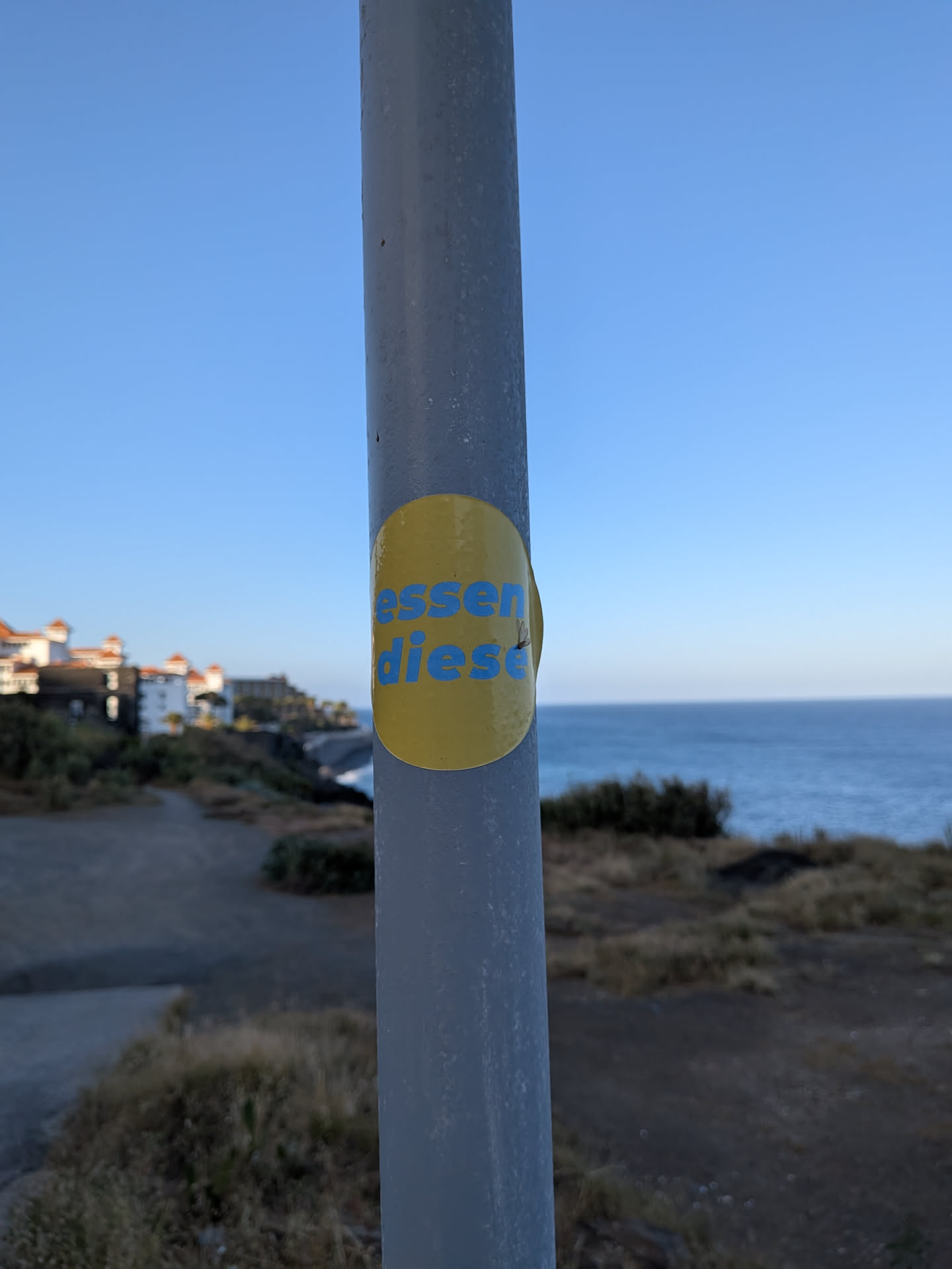 An oval yellow sticker on a grey metal pole. It features the lowercase blue text 'essen diese' in a bold sans-serif font. The background is a coastal landscape.