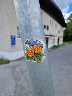 Street sticker A sticker featuring an illustration of cloudberries and mountains. The style is simple and nature-inspired. It's placed on a metal pole outdoors.