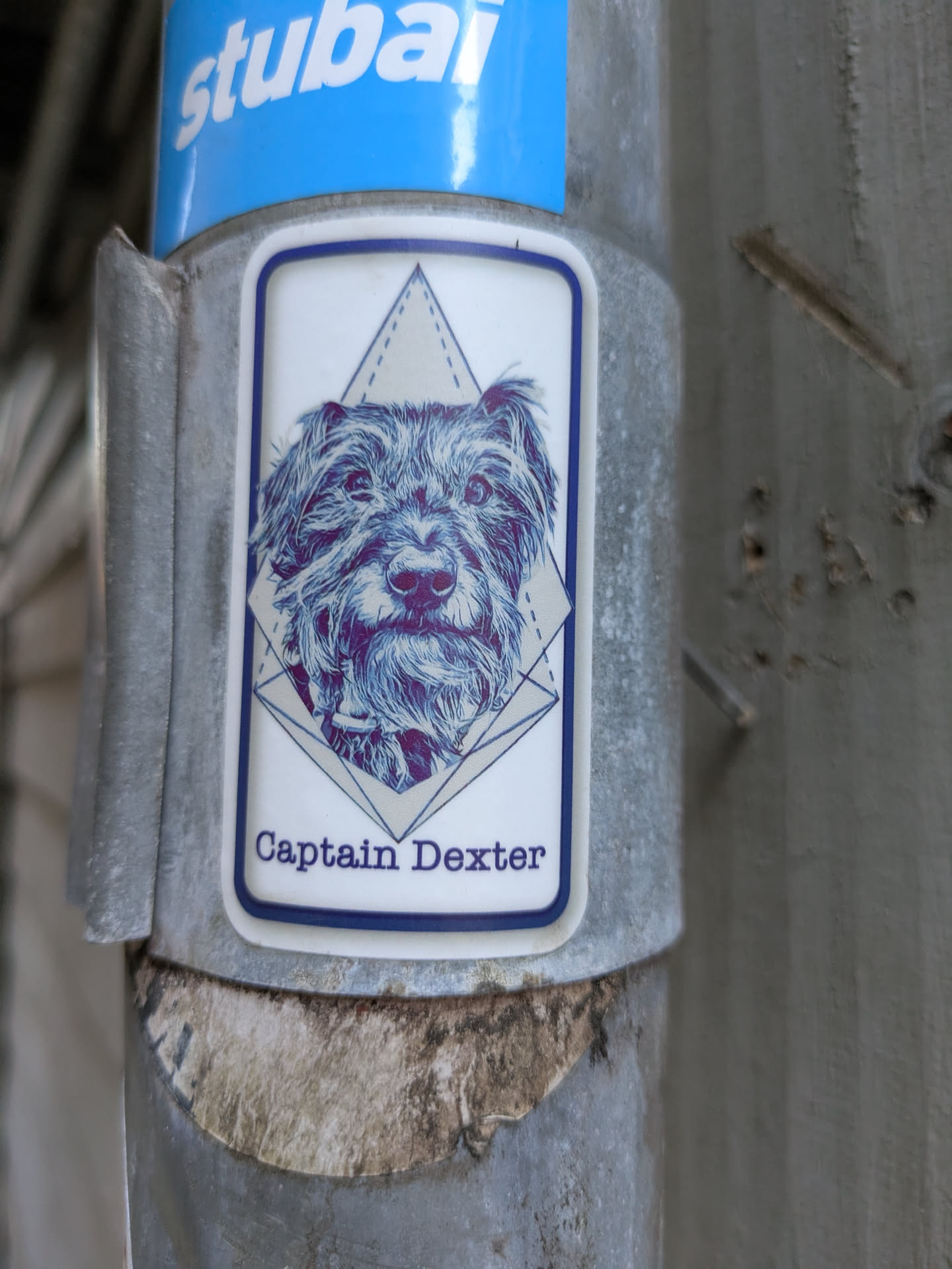 The sticker prominently features a stylized illustration of a shaggy-haired dog's face, likely a terrier or schnauzer type, rendered in artistic shades of blue and purple. Behind the dog's head is a subtle light grey geometric design, possibly representing a pyramid or a faceted shape, outlined with dashed lines. Below the illustration, the name "Captain Dexter" is written in a dark blue font. The sticker itself has a clean white background with a dark blue border and is affixed to a grey metal pole.
