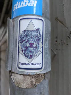 Street sticker The sticker prominently features a stylized illustration of a shaggy-haired dog's face, likely a terrier or schnauzer type, rendered in artistic shades of blue and purple. Behind the dog's head is a subtle light grey geometric design, possibly representing a pyramid or a faceted shape, outlined with dashed lines. Below the illustration, the name "Captain Dexter" is written in a dark blue font. The sticker itself has a clean white background with a dark blue border and is affixed to a grey metal pole.
