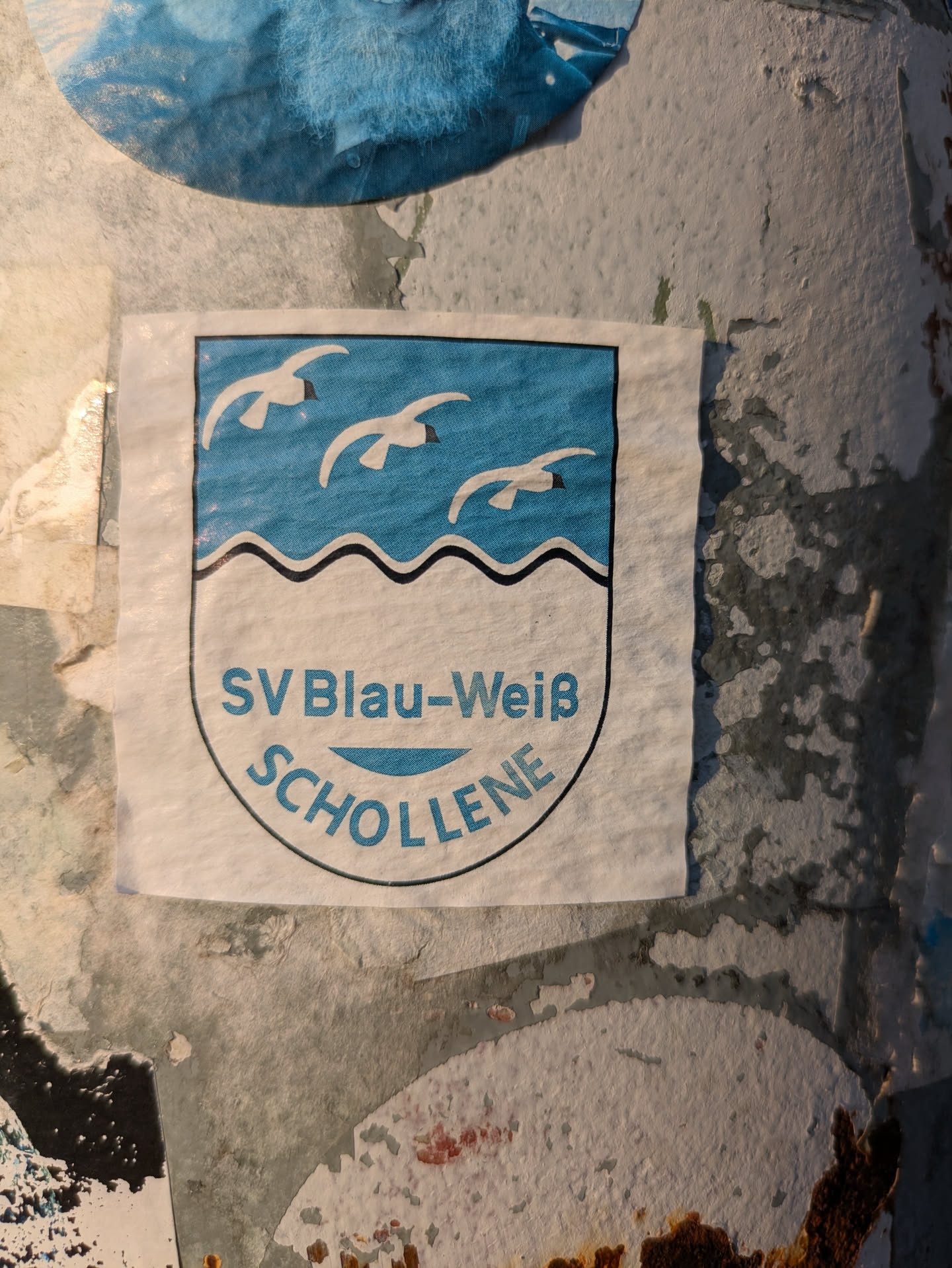 A rectangular sticker with a rounded bottom, resembling a crest or shield. The upper half features a light blue background with three white seagulls in flight. Below them, a black wavy line separates this section from the white lower half. The white section contains text in blue: "SV Blau-Weiß" in a straight line and "SCHOLLENE" curved underneath. The sticker is bordered by a thin black outline and is adhered to a textured, weathered pole or wall, surrounded by remnants of other old stickers.
