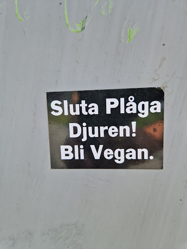 Street sticker Misc Sluta Plaga Djuren! Bli Vegan.