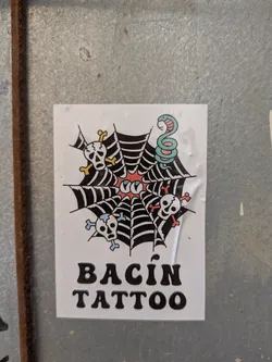 The sticker is for Bacin Tattoo. It features a spiderweb with a snake and skulls on it. The web is black and white with red accents. The snake is light blue and red. The skulls have different colored crossbones.