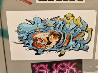 This sticker features a captivating illustration of two kittens interacting within a dynamic graffiti design. The style is bold and playful, with a mix of blues, yellows, and oranges.  The kittens appear to be playfully tumbling within a stylized, abstract form.