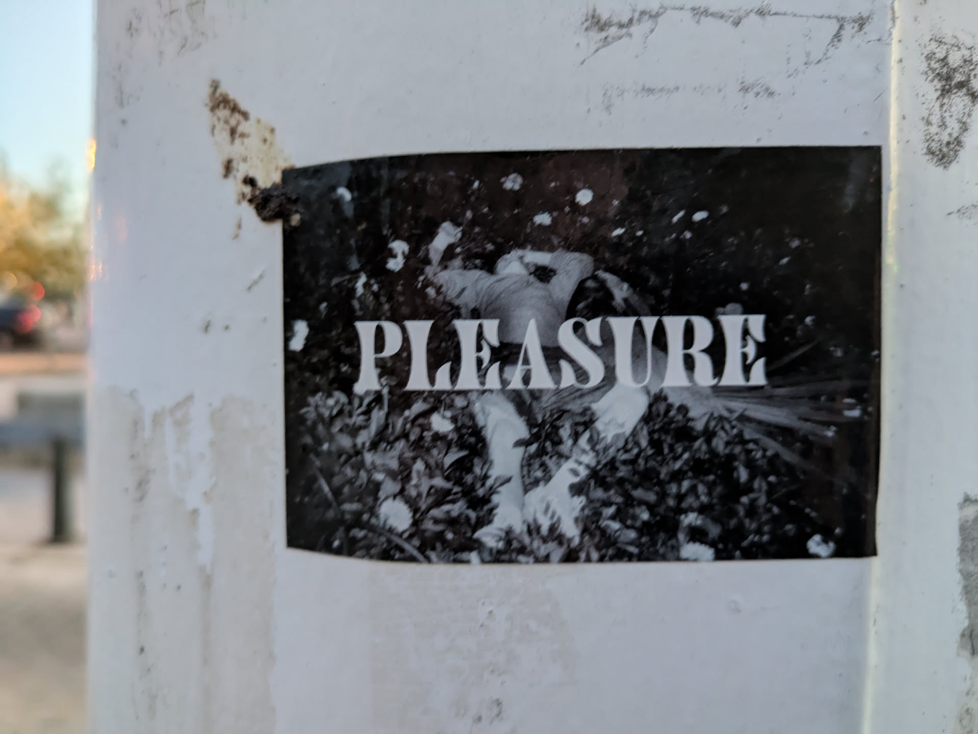 This is a black and white sticker adhered to a white pole. The sticker shows a person lying down in foliage. The word "PLEASURE" is overlaid in bold white text.