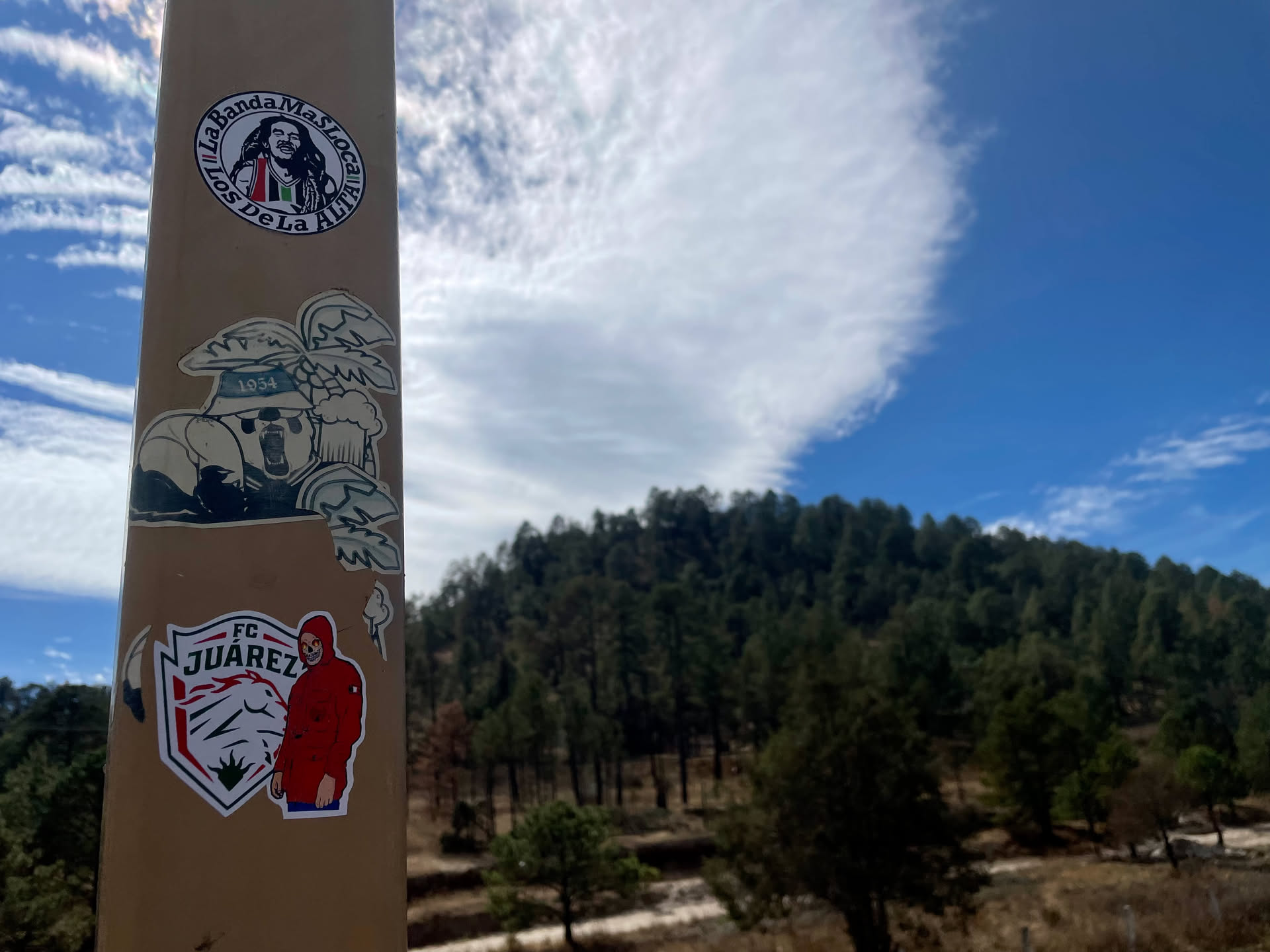 The central sticker features the official logo of FC Juarez, a Mexican professional football club. The logo is a shield design with 'FC JUAREZ' prominently displayed at the top in black capital letters. Below the text, a stylized white and black animal head, resembling a bull or horse (the 'Bravos' mascot), is depicted with red accents. A small green triangular element is at the bottom of the shield. To the right of the logo, a distinct figure is shown wearing a bright red hooded jacket with blue pants. The figure's face is a detailed white skull, giving it a 'calavera' or Dia de los Muertos aesthetic. The overall sticker has a white background with black and red outlines, and the figure is rendered in solid colors.