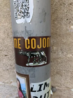 The sticker features a dark brown background with bold yellow text reading "ME COIONI". Below the text is an image of the Capitoline Wolf suckling Romulus and Remus. The sticker is adhered to a gray pole, and there are other stickers and remnants of stickers above and below it.