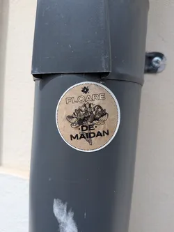 Street sticker A round sticker with a brown kraft paper texture and a white border. It features a black ink drawing of a wildflower cluster in the center, with the Romanian text 'FLOARE DE MAIDAN' written in black sans-serif font around the illustration.