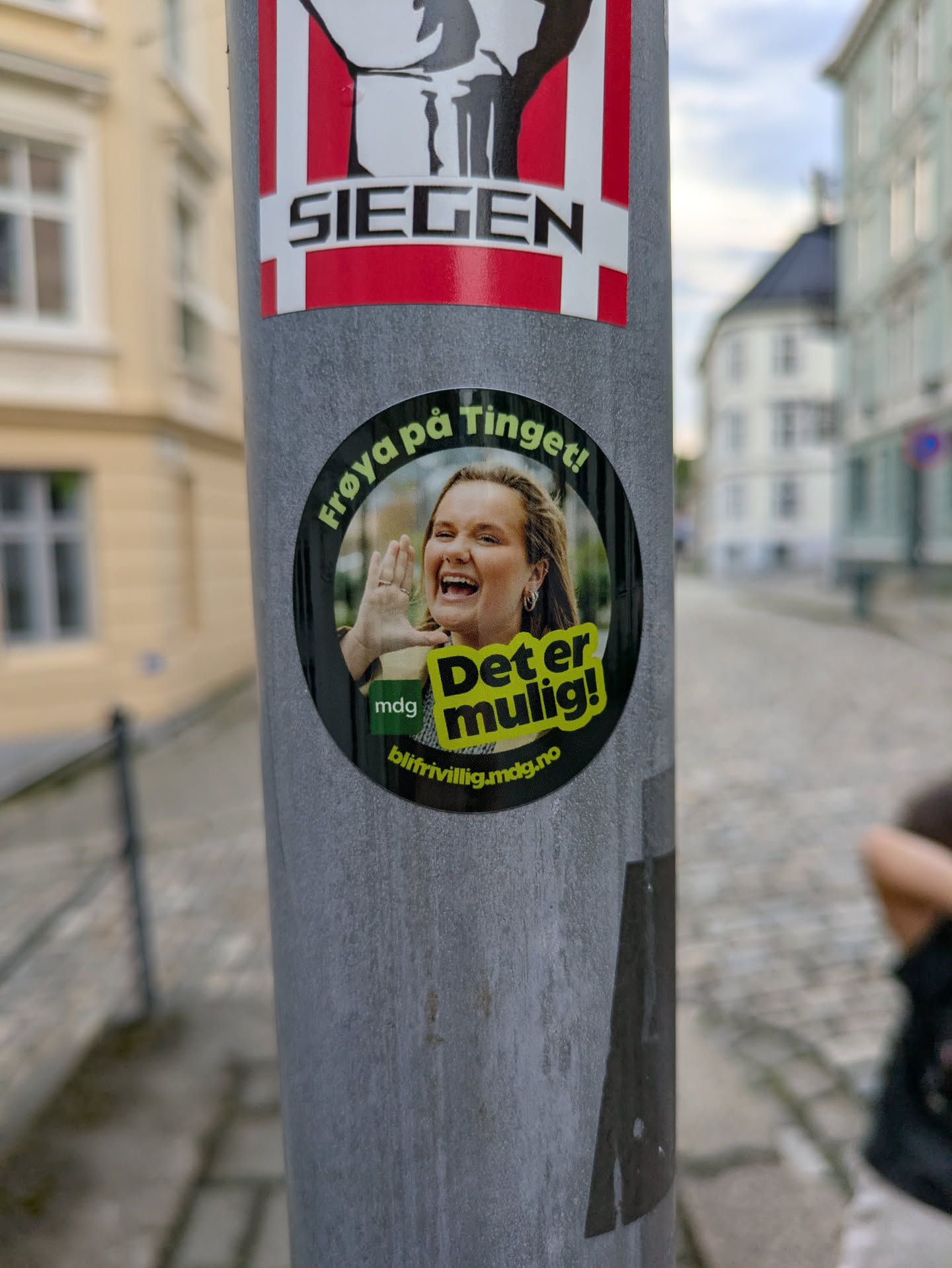 A circular campaign sticker is affixed to a grey lamppost in an urban setting. The sticker prominently displays a cheerful woman with light hair, identified as Frøya, who is smiling broadly and has her right hand raised as if calling out. The text 'Frøya på Tinget!' arcs over her head, and 'Det er mulig!' is featured in a bright green and yellow block next to her. A small green 'mdg' logo is visible on the left, and a URL 'blifrivillig.mdg.no' runs along the bottom edge, indicating affiliation with the Norwegian Green Party (Miljøpartiet De Grønne).