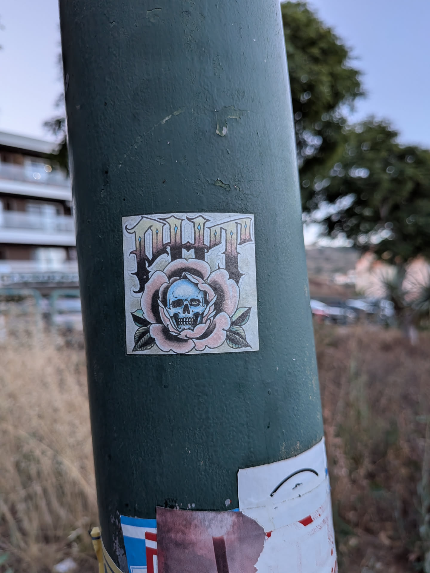 A square sticker on a green pole depicting a blue skull nestled within a pink rose. Stylized gothic text sits above the flower, and green leaves flank the bottom.