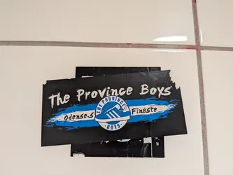 Street sticker A rectangular black sticker featuring a blue and white brushstroke background. It displays the text 'The Province Boys' and 'Odenses Fineste' alongside a central circular logo containing a blue sneaker.