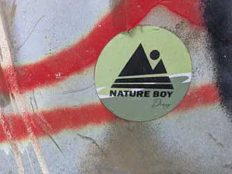 Street sticker The image shows a round sticker with a light sage green background and a darker green bottom section, separated by a white wavy line. The central design features a prominent black triangular shape, resembling a mountain, with horizontal black lines below it. To the upper right of the mountain, there is a small black circle, possibly representing a sun or moon. Below the graphic, the text "NATURE BOY" is printed in bold, black capital letters, with "Diary" written in a smaller, elegant cursive font directly beneath it. The sticker is placed on a textured, metallic surface heavily marked with red and black spray paint, indicating a public or industrial setting.