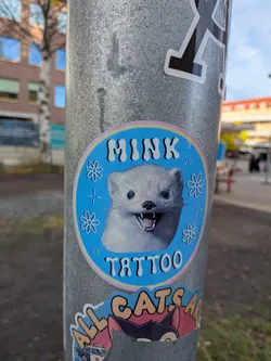 Street sticker The central sticker is circular with a light blue background and a pastel pink and yellow border. It features a close-up of a fluffy, white mink with dark eyes and a wide, toothy grin. The mink's fur is detailed, giving it a realistic yet stylized appearance. Around the mink's head are small white floral designs and starbursts. The word 'MINK' is prominently displayed in white, bubbly letters above the mink's head, and the word 'TATTOO' is in similar lettering below it. The overall aesthetic is playful and slightly edgy.